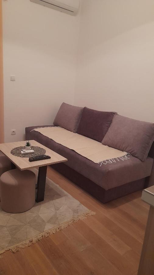 Apartman Tia Vrnjačka Banja 外观 照片
